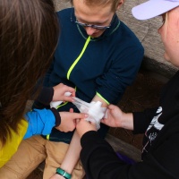IMG_2766.JPG